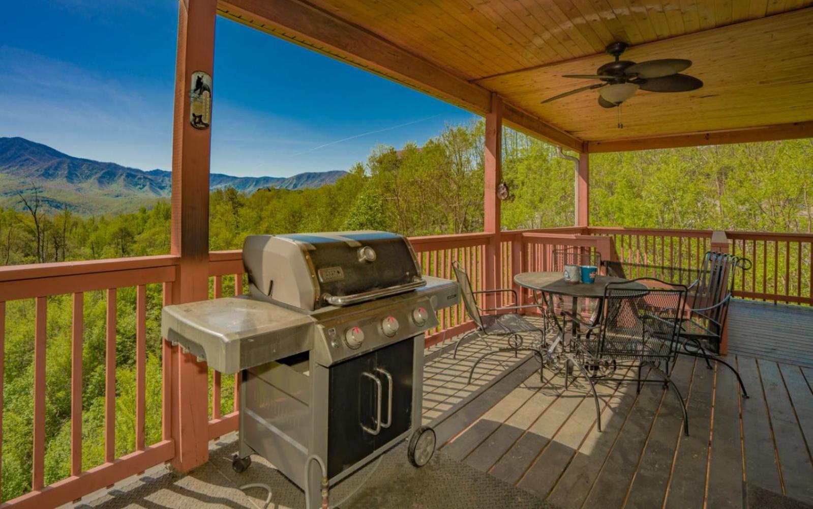 Beartastic Mountain View Lodge Gatlinburg Ngoại thất bức ảnh